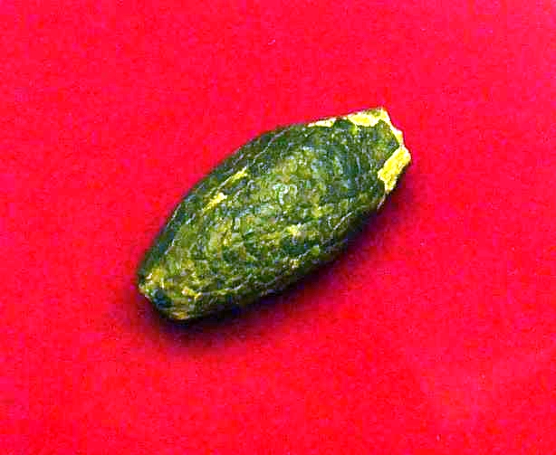 Römisches_Schleuderblei_in_Gießen