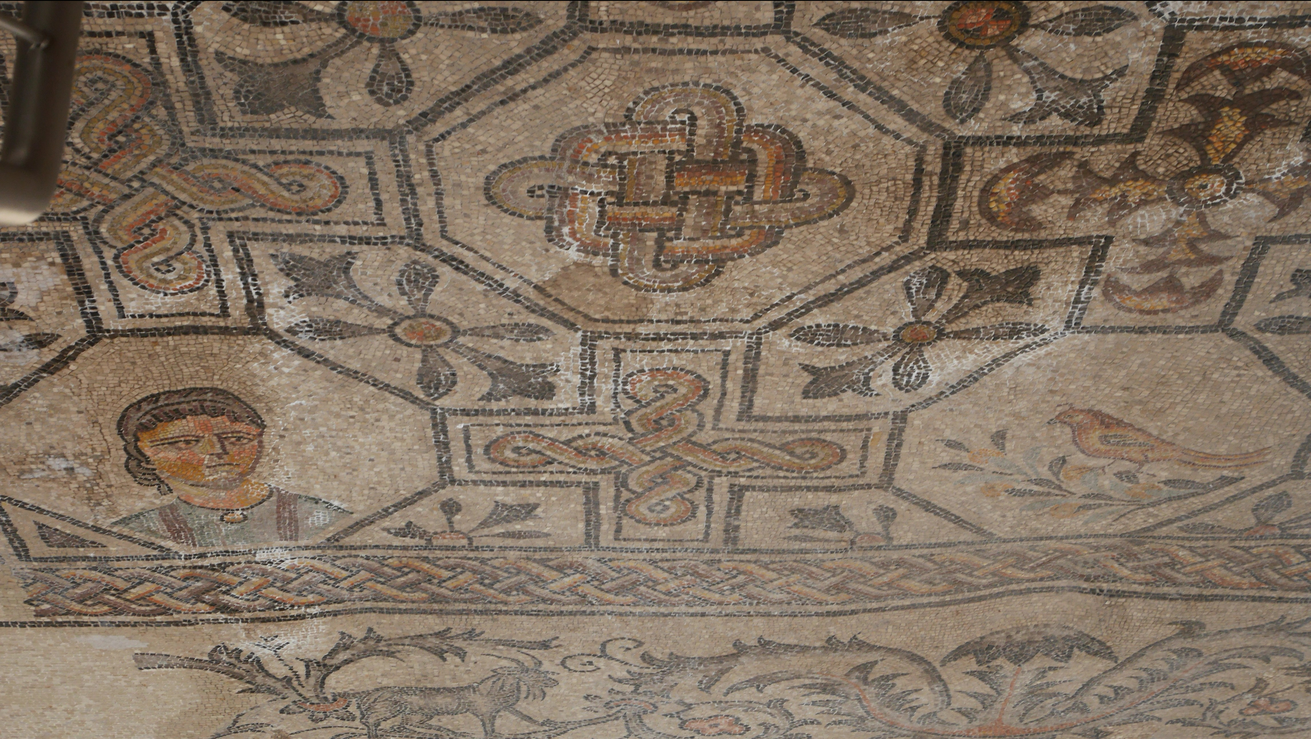 Basilica_Patriarcale_(Aquileia)_-_Donors_mosaic_Knoten (1)