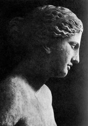 4. Die Venus Colonna im rechten Seitenprofil weist eine gerade, ebenmäßige Nase wie Simonetta Vespucci auf. 